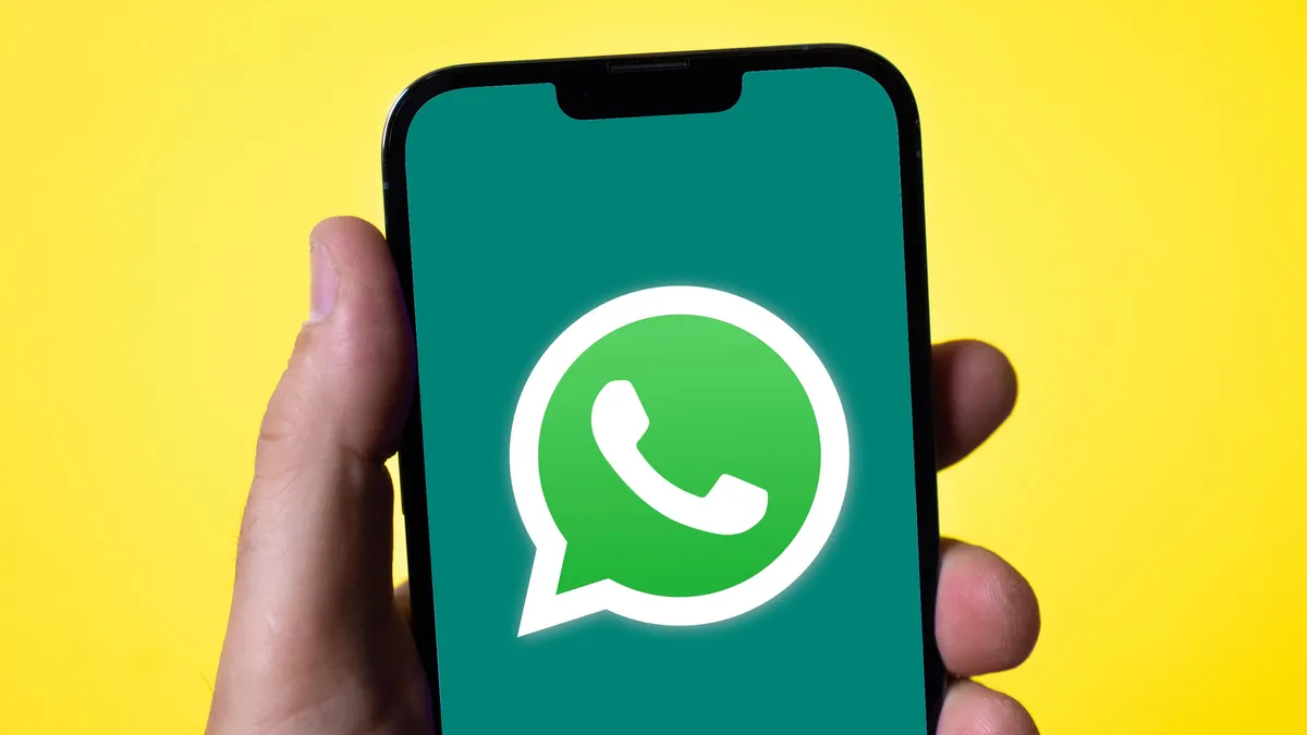 What is the difference between a business account and a regular account on WhatsApp? WhatsApp number verification